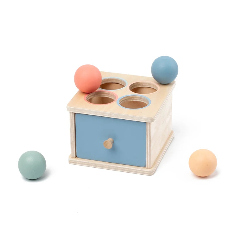 Coffret de rangement en bois pour trier les couleurs et les formes, jeu d'association, jouet sensoriel pour la motricité fine, apprentissage Montessori, cadeau pour bébé