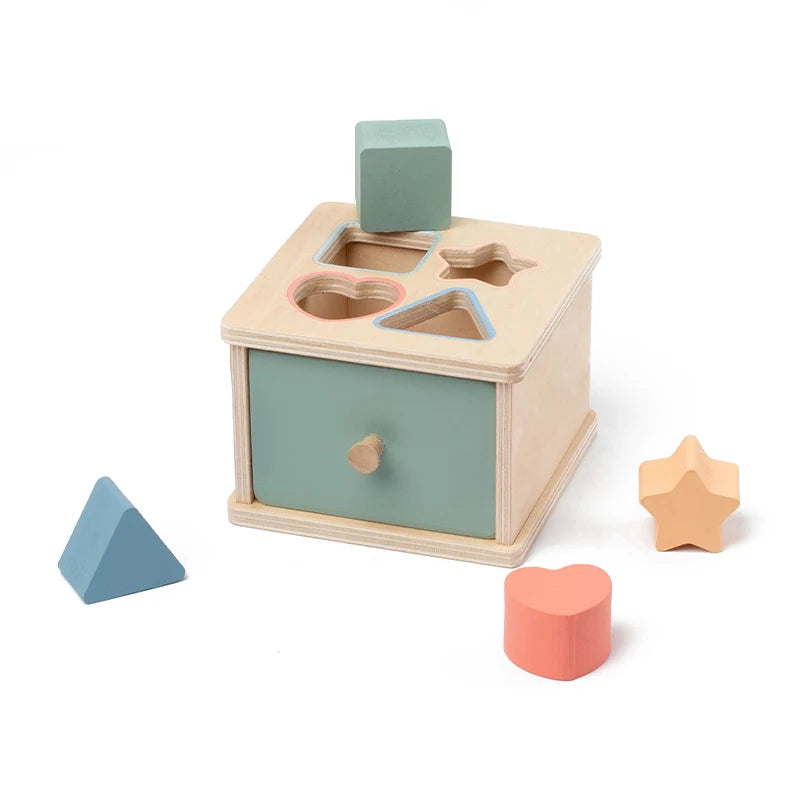 Coffret de rangement en bois pour trier les couleurs et les formes, jeu d'association, jouet sensoriel pour la motricité fine, apprentissage Montessori, cadeau pour bébé